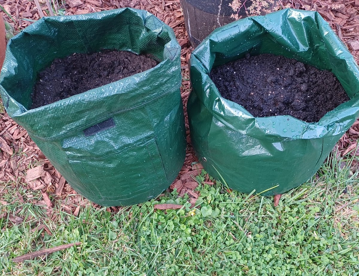 2CynicAl65's tweet photo. Fall/winter planting time!
Tomorrow, we fire up the hydroponics for leaf lettuce!
#PITD https://t.co/ICQ4uycv4P