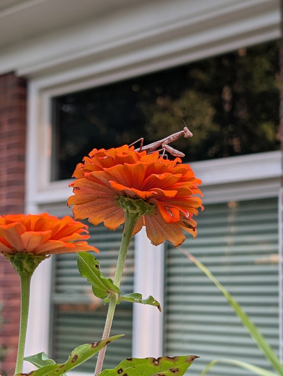 GrampaWan (@grampawan) on Twitter photo 