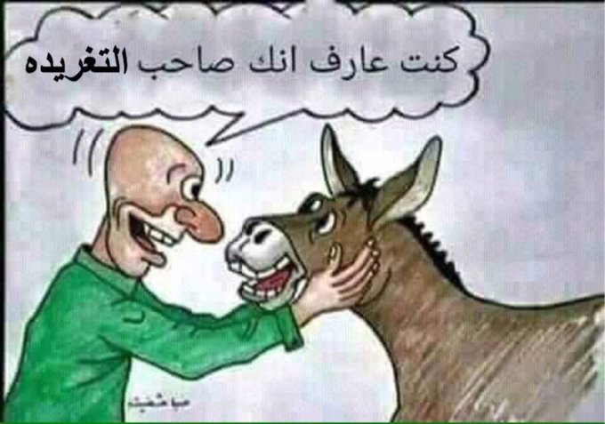 CREED_18's tweet photo. @TurkiShalhoub ايش دخل ذا زواج مشهور في السعوديه 😂😂😂😂😂 https://t.co/s5mRDp5PVK