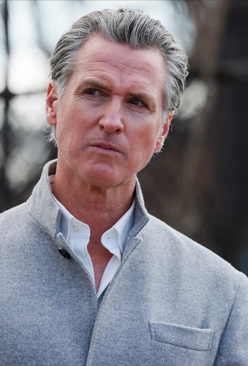 Hosna ⚖️ tweet media