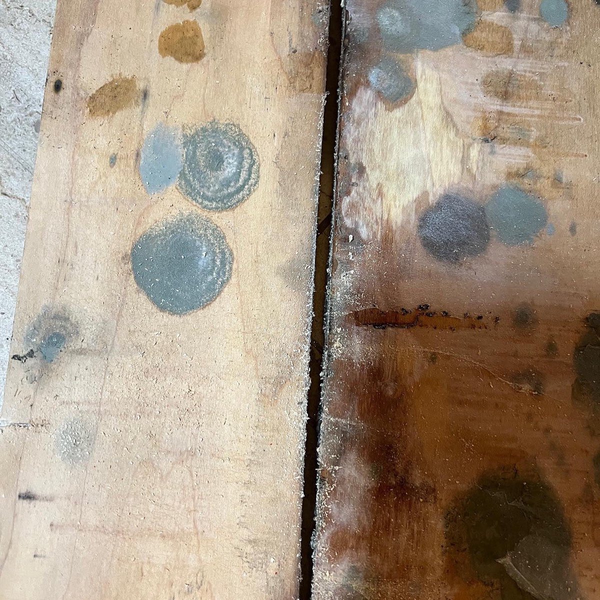 AAADeflooding's tweet image. #MoldMonday 
Our Promise:
✔ Free Mold Inspections
✔ Safe &amp;amp; Effective Mold   Removal
✔ Odor Elimination
✔ Certified Remediation Experts

If you see visible mold—or even suspect hidden growth—don’t wait. 

Give us a call today 
818-943-3800.
#Mold #MoldRemoval