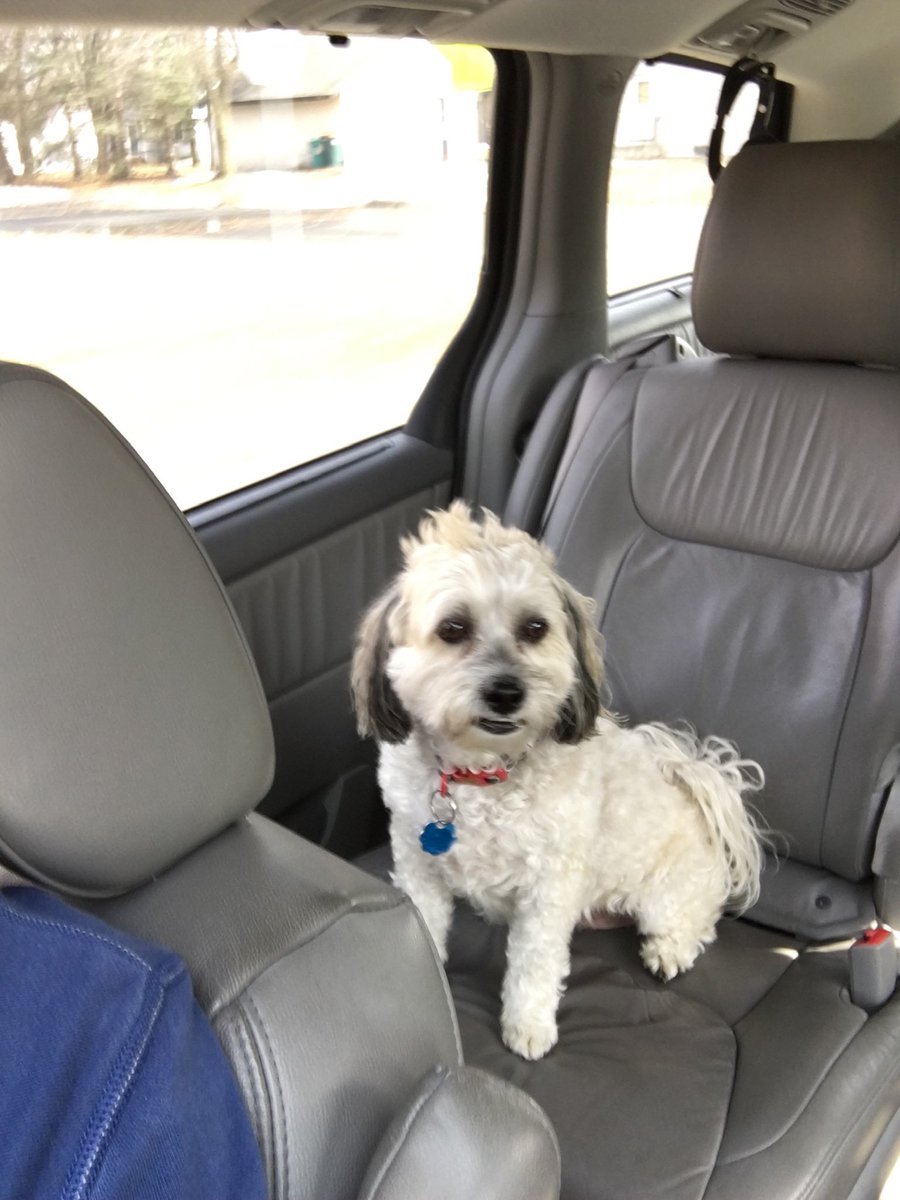 Found out my childhood dog Oliver passed away. Was the best dog any kid could ask for. See you soon buddy❤️