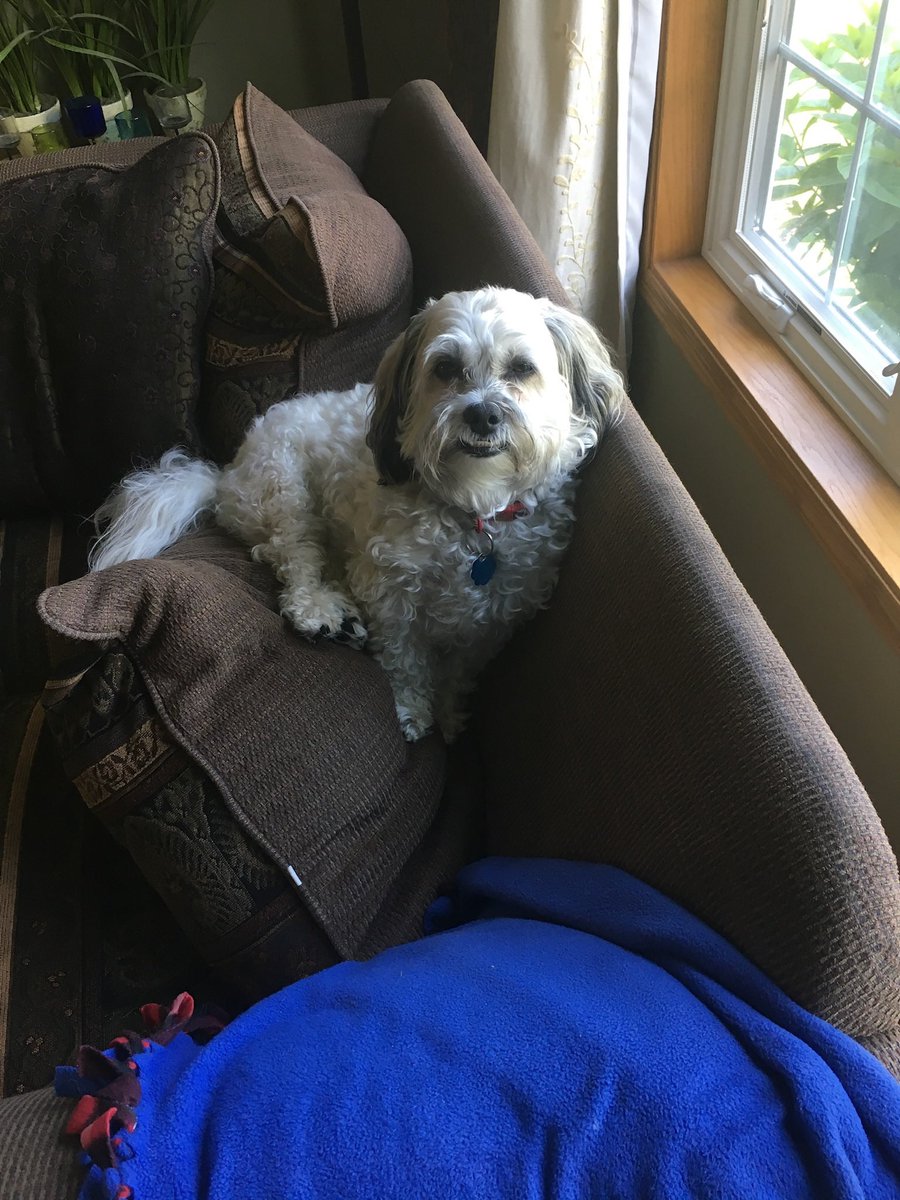 DIG OliverOG tweet media