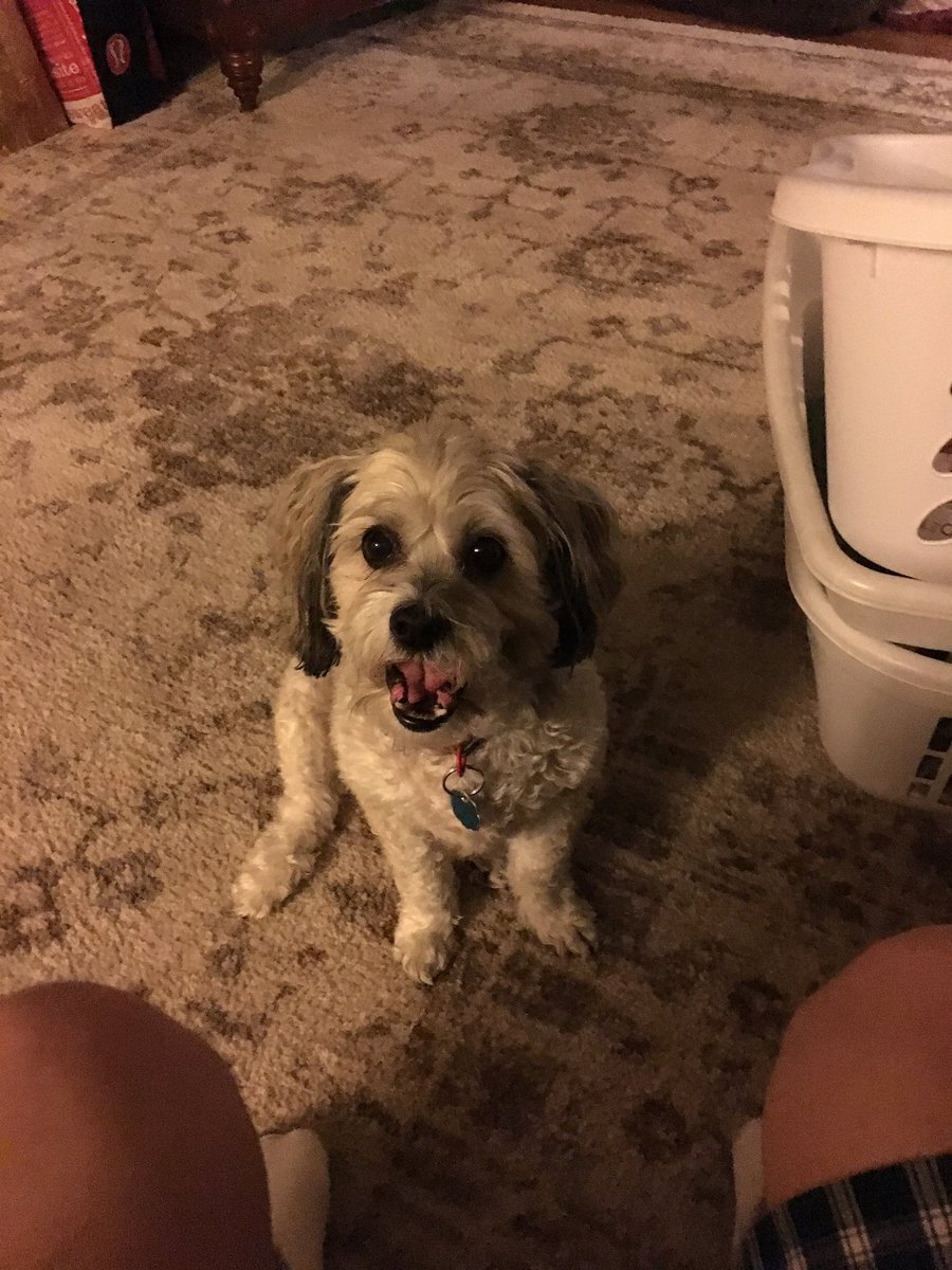 DIG OliverOG tweet media