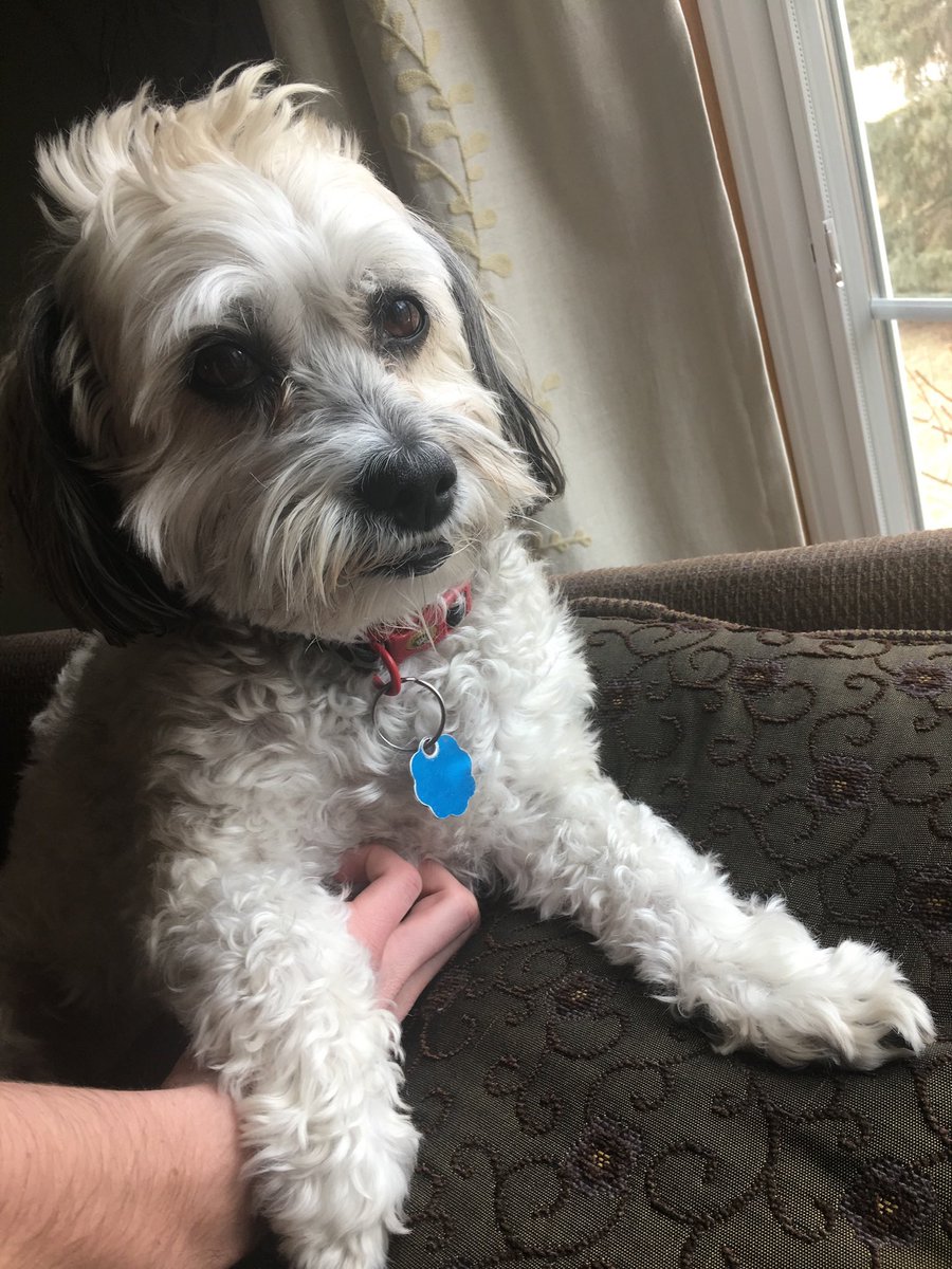 DIG OliverOG tweet media