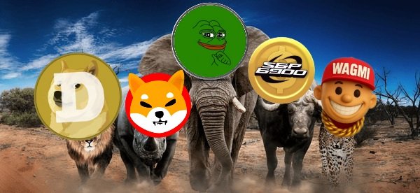 msi gamer tweet media