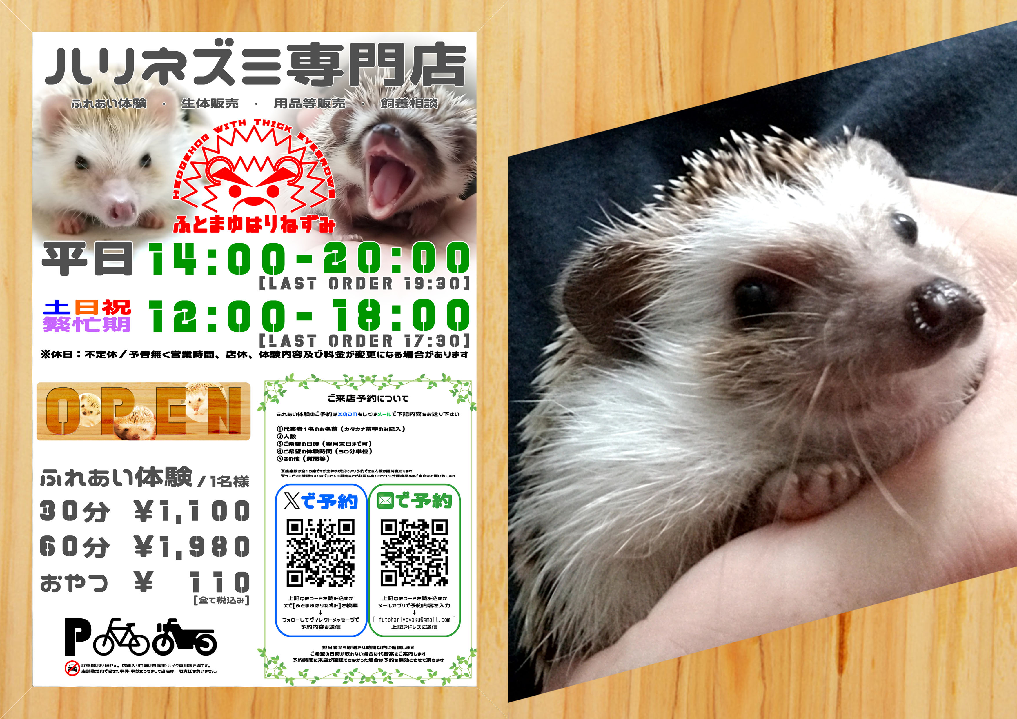 はりねずみページ 81bCPtpv7GL._UF350,350_QL50_.jpg