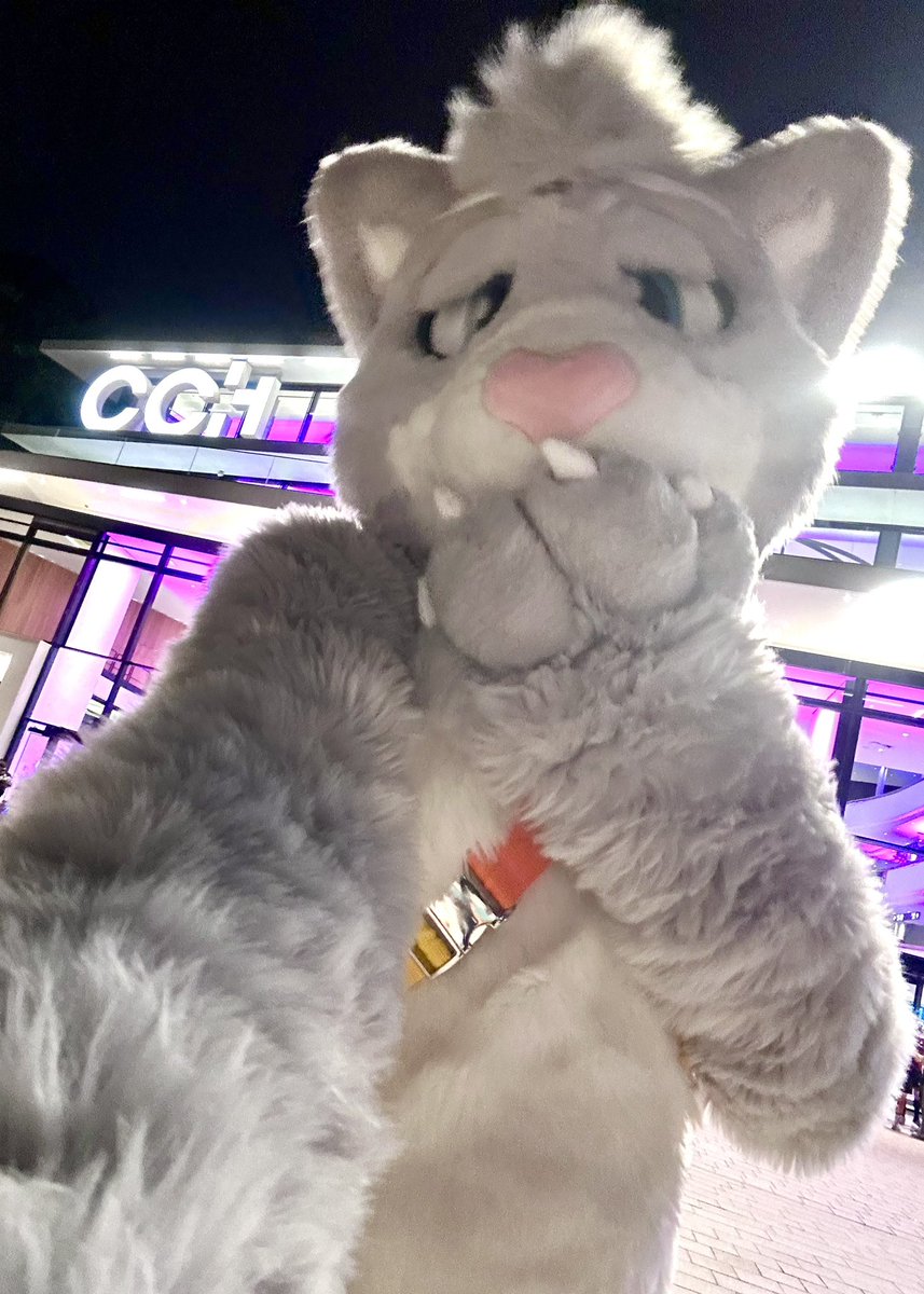 Thank you all for making Eurofurence such an amazing experience for me! The days flew by, but still managed to do everything I hoped for and more!

I’m so grateful for all the old and new friends I got to hang out with, dance with, talk with, and hug! ❤️

#Eurofurence #EF29