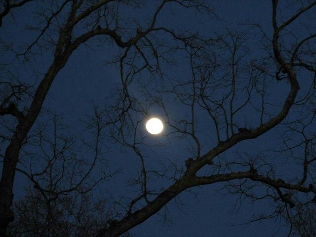 𝑙𝑜𝑣𝑒𝑙𝑦 𝑚𝑜𝑜𝑛.