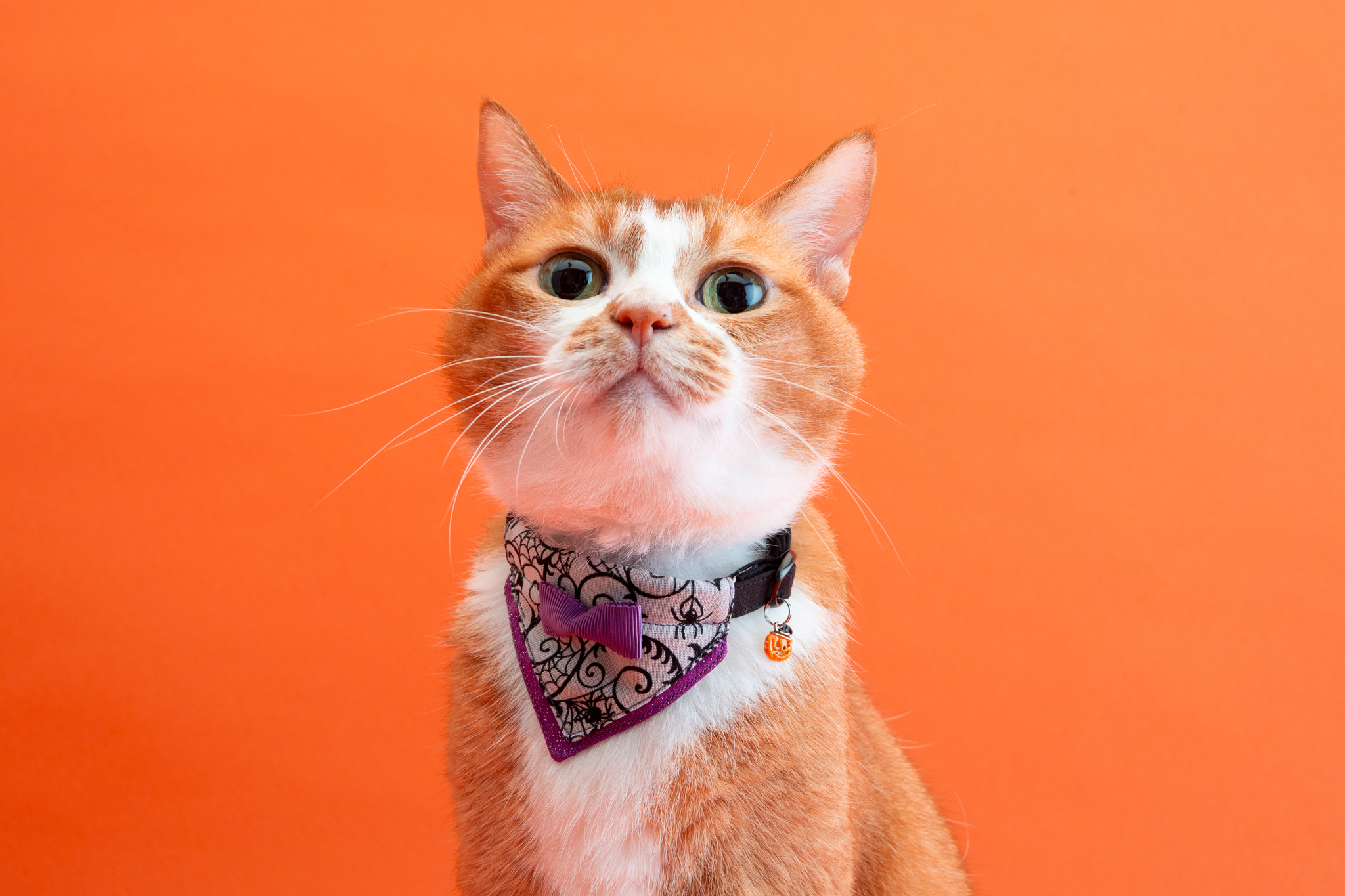 マロンちゃま様 楽天市場】ワンピース ロング 長袖 レディース 14番手リネン