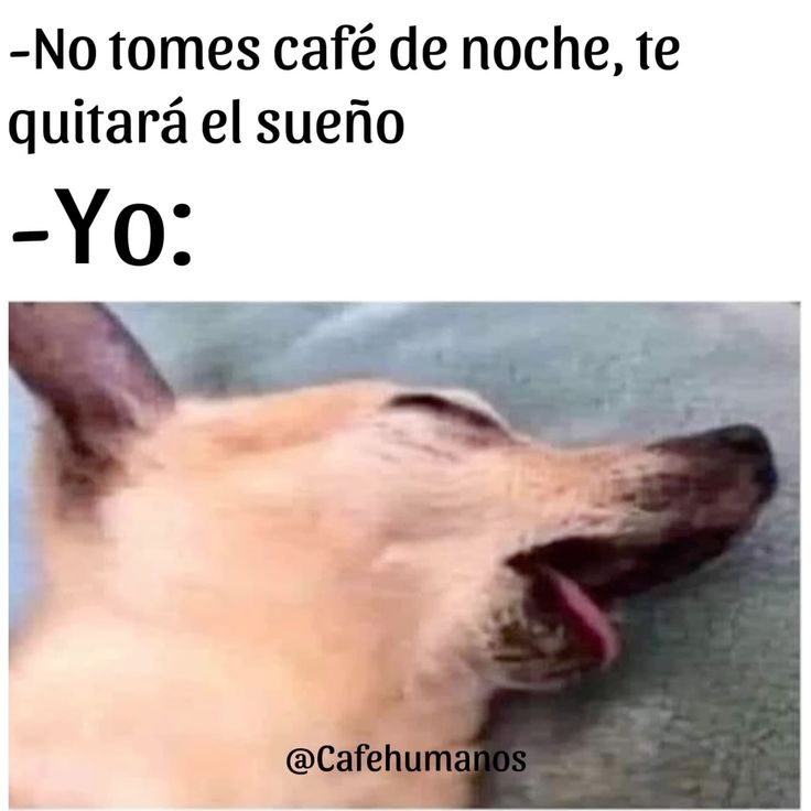 Yo 🤣