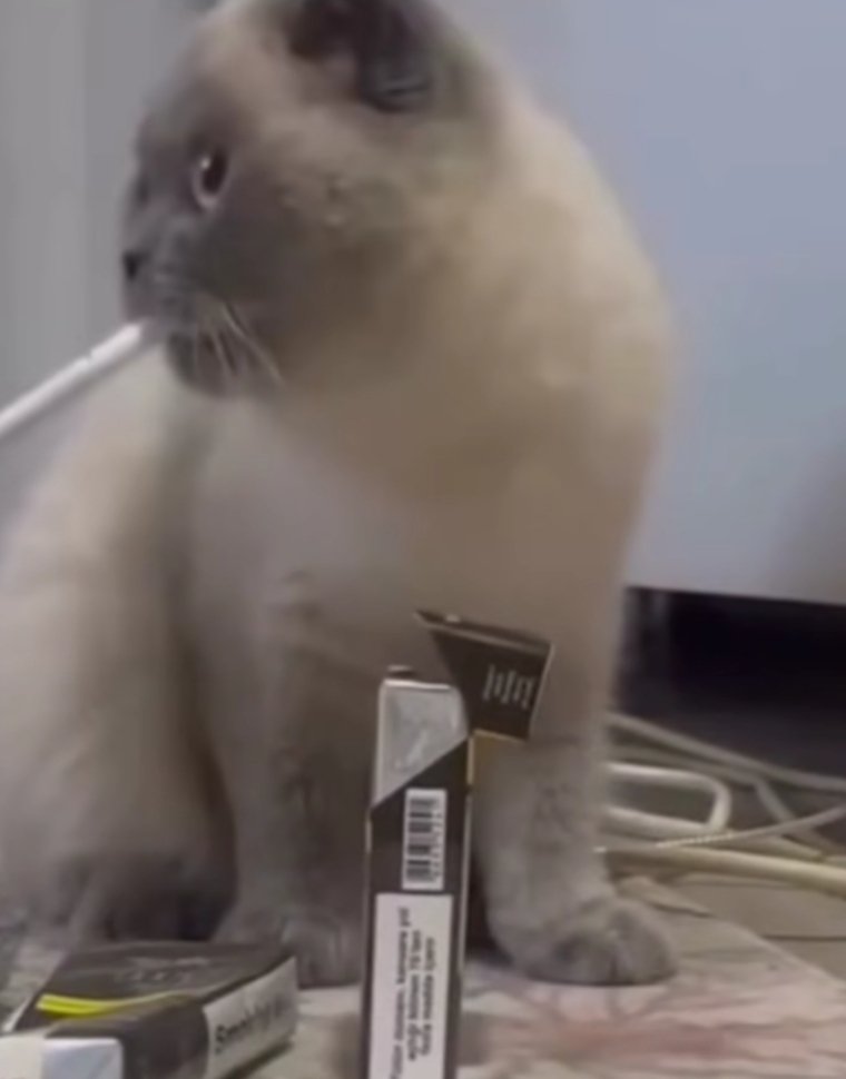 احس راح يغمى عليه من الصدمة الي جتني