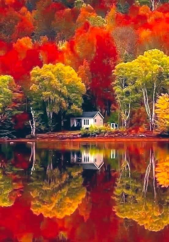 🌻💫Good morning folks🌻💫
💕🌈Have a blessed Tuesday🌈💕