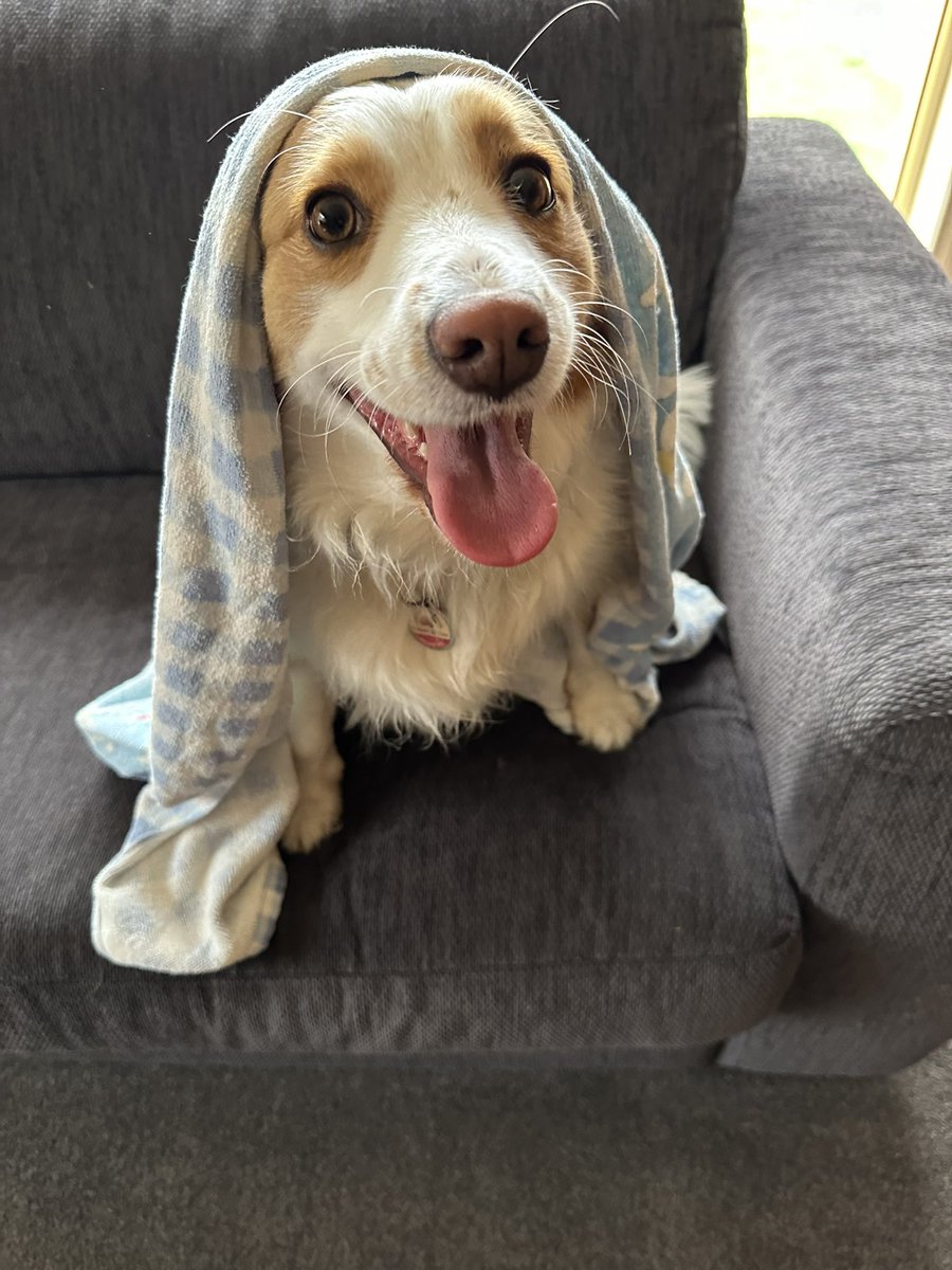 Jo ☕️💫🌻 tweet media