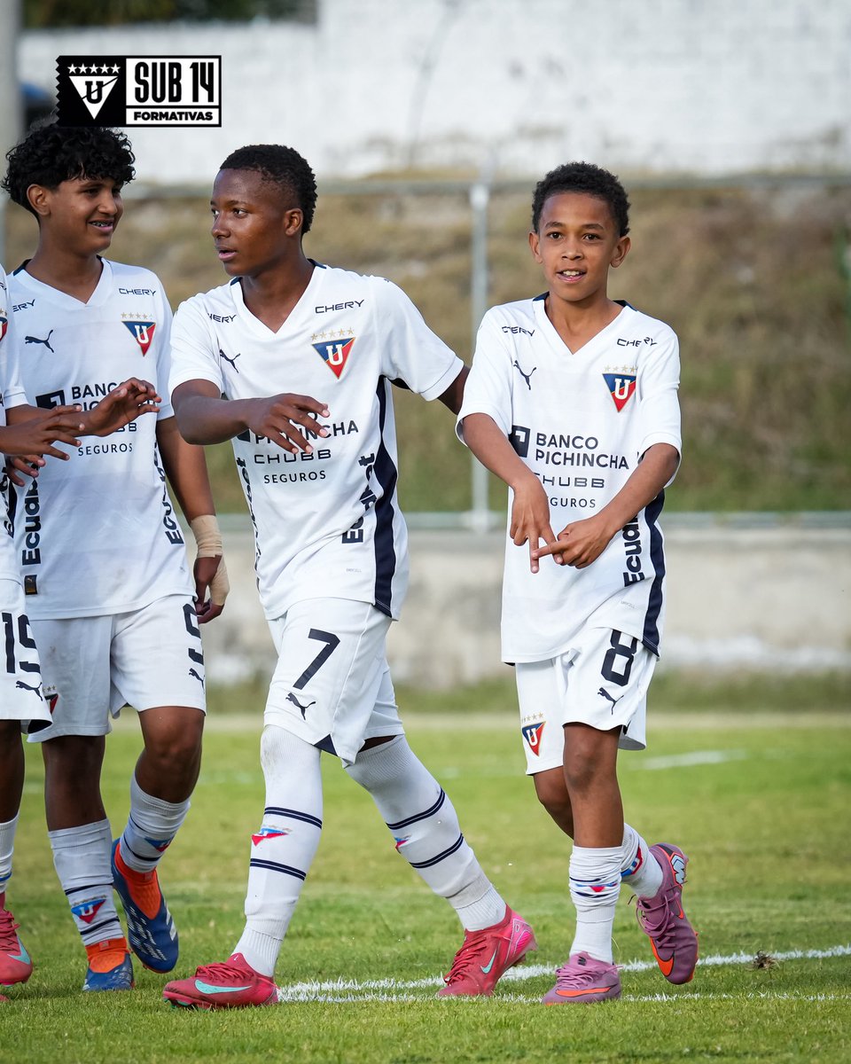 Formativas_LDU's tweet image. U14 | ¡SUMAMOOOOS DE A 3️⃣! ¡Y con 1️⃣1️⃣ golazos de nuestros canteranos! 

⚽️ Keyler Estupiñan (5), Orlay Caicedo (2), Dylan Rojas, Jean Quiñonez, Michael Rodríguez (2)

🆚 #LIGADiegoCalderon 11x2
🏆 #AFNA