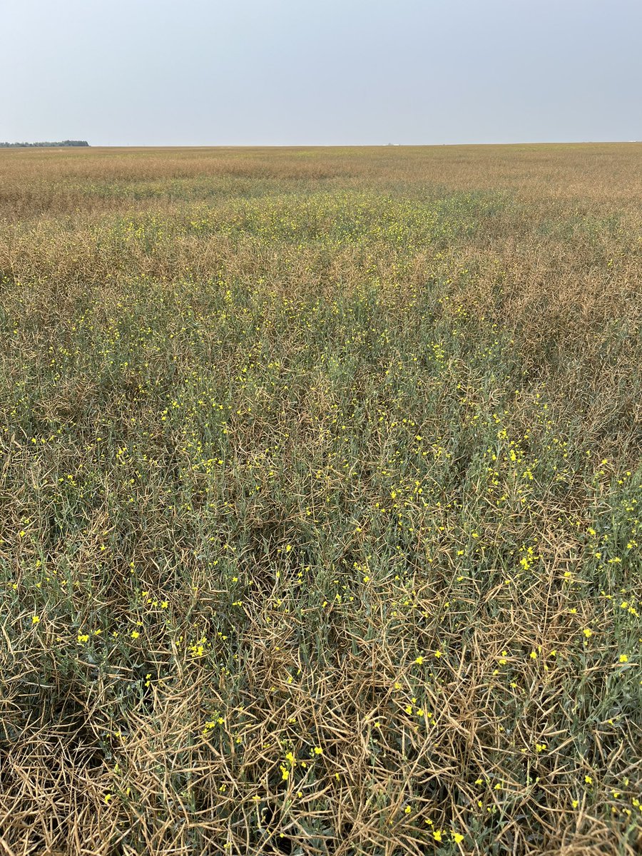 Adam Fast tweet media