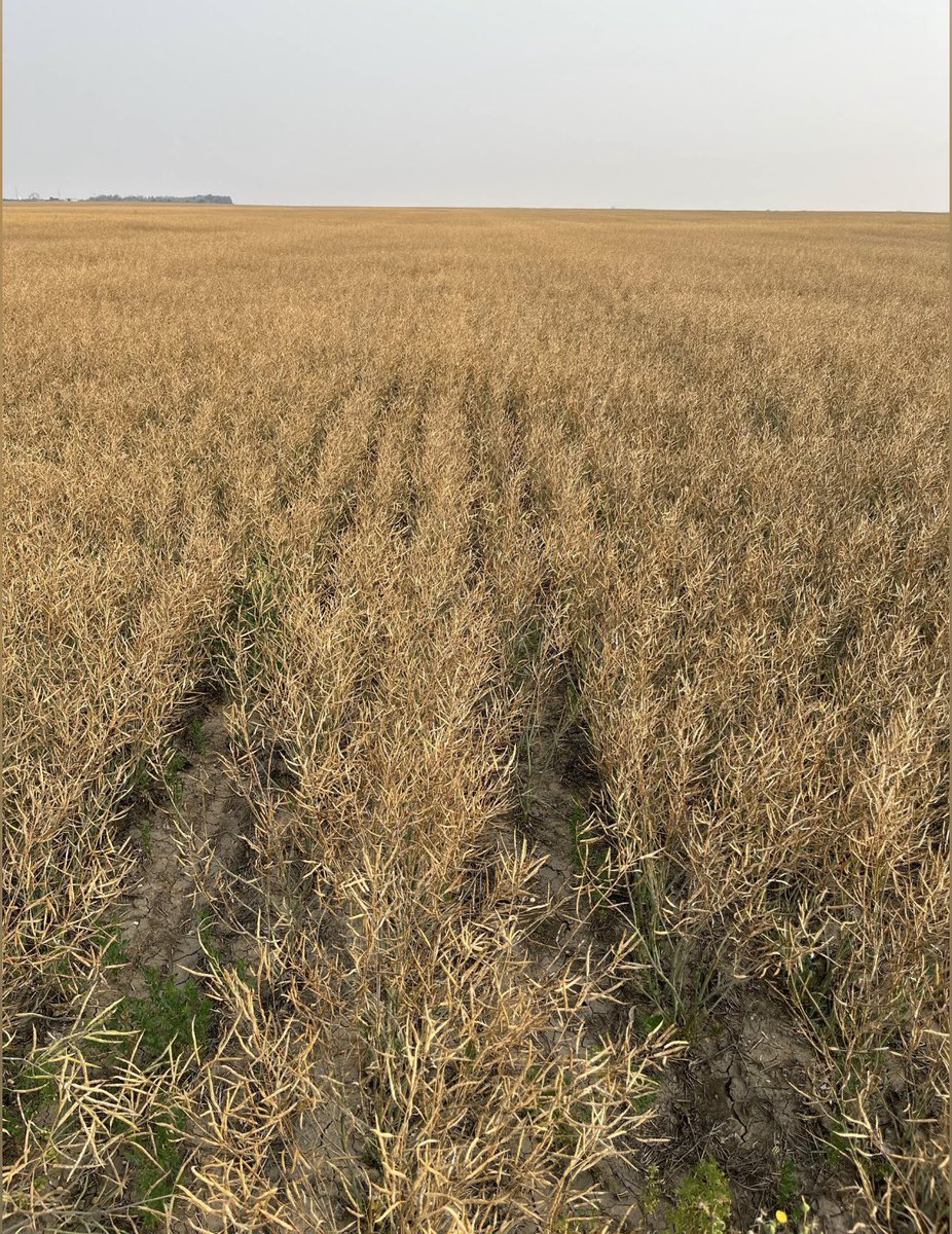 Adam Fast tweet media