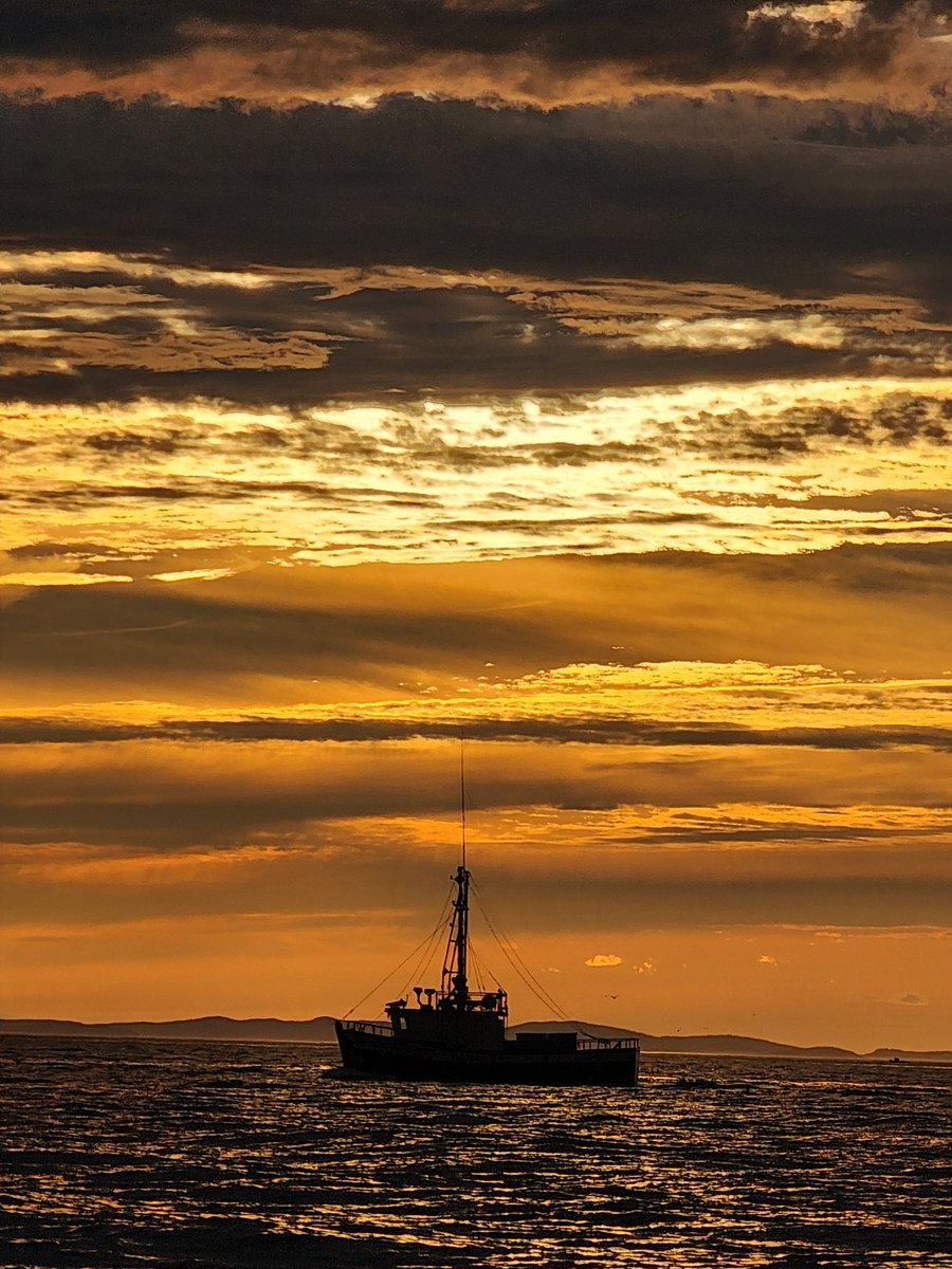 Lee Tremblett (@leetremblett) on Twitter photo 