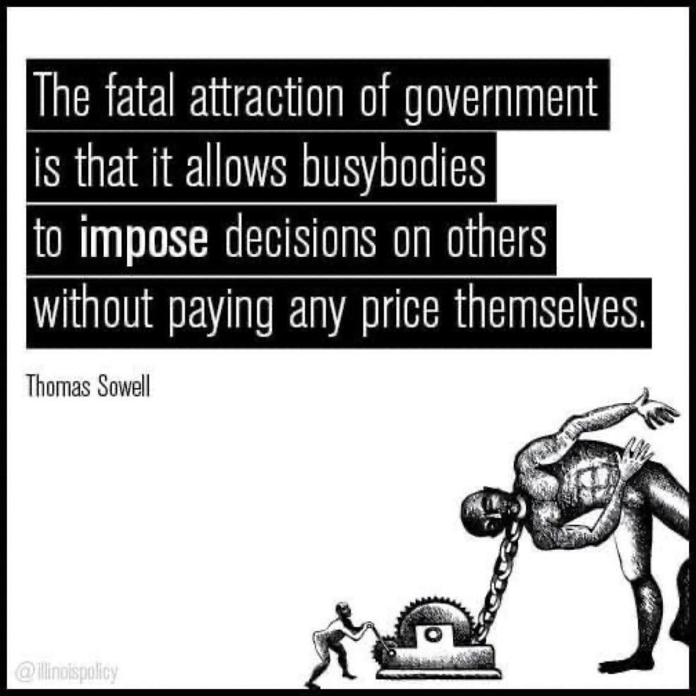 Lee Vi Moses, Ed.D. tweet media