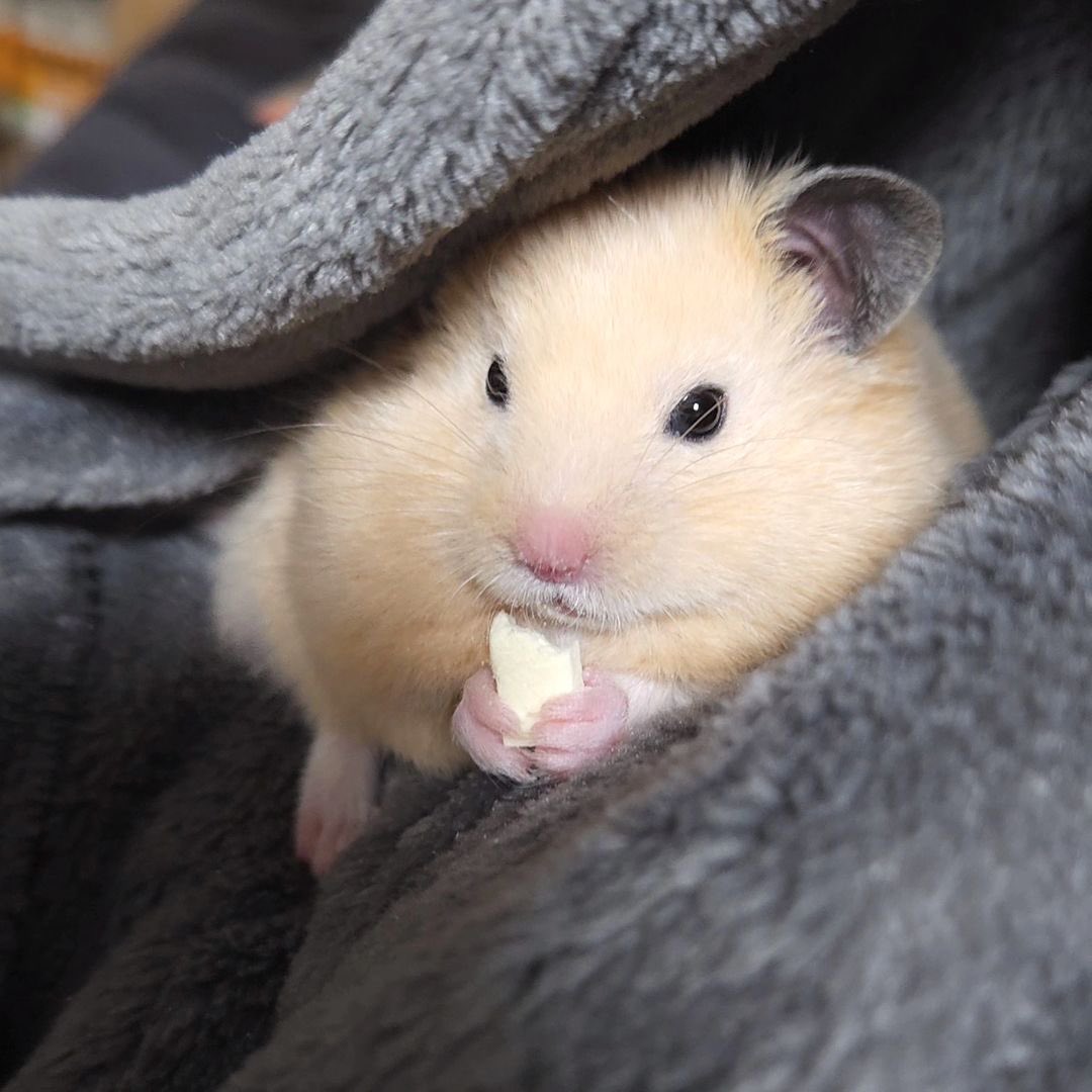 𝑠𝑢𝑖 tweet media