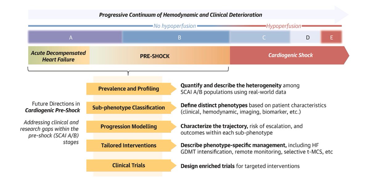 ISHVnews's tweet image. A Commentary in latest issue of #JACC, by @ISHVnews @vbluml on behalf of @hfcollaboratory 

proposes designation/definition of a cardiogenic “preshock” state where early intervention may favorably alter clinical trajectory.

jacc.org/doi/10.1016/j.…