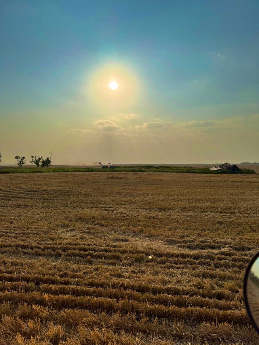 Blumer Seeds tweet media