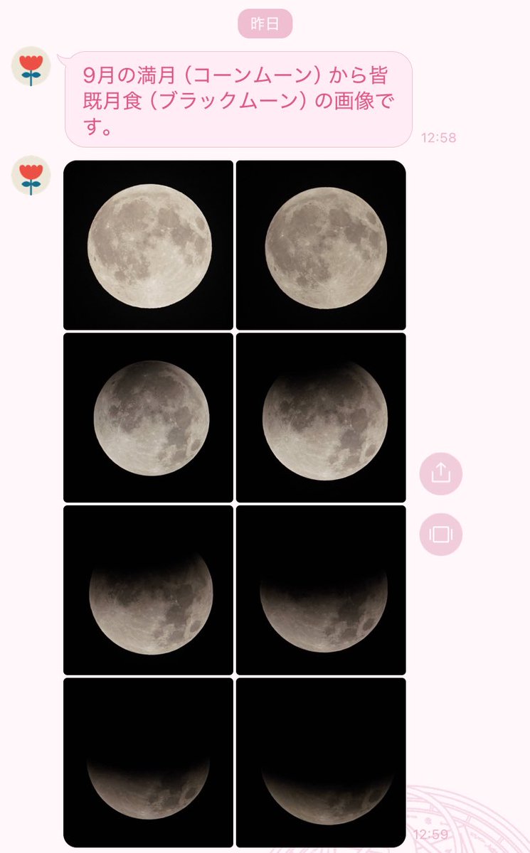 職場の昔の社長（年齢によりリタイア）が写真撮るの趣味でちょくちょく虫やら鳥やらの写真を送ってくるんだけど、昨日は月の写真が送られてきて大変よかった