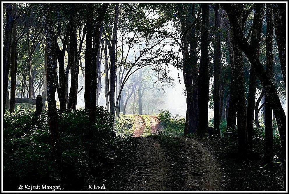tourthewild2's tweet photo. Nature’s secret pathway https://t.co/N4MzBvWRgu