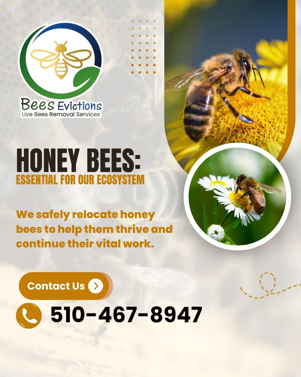 Bees Evictions (@BEvictions1) / Posts / X