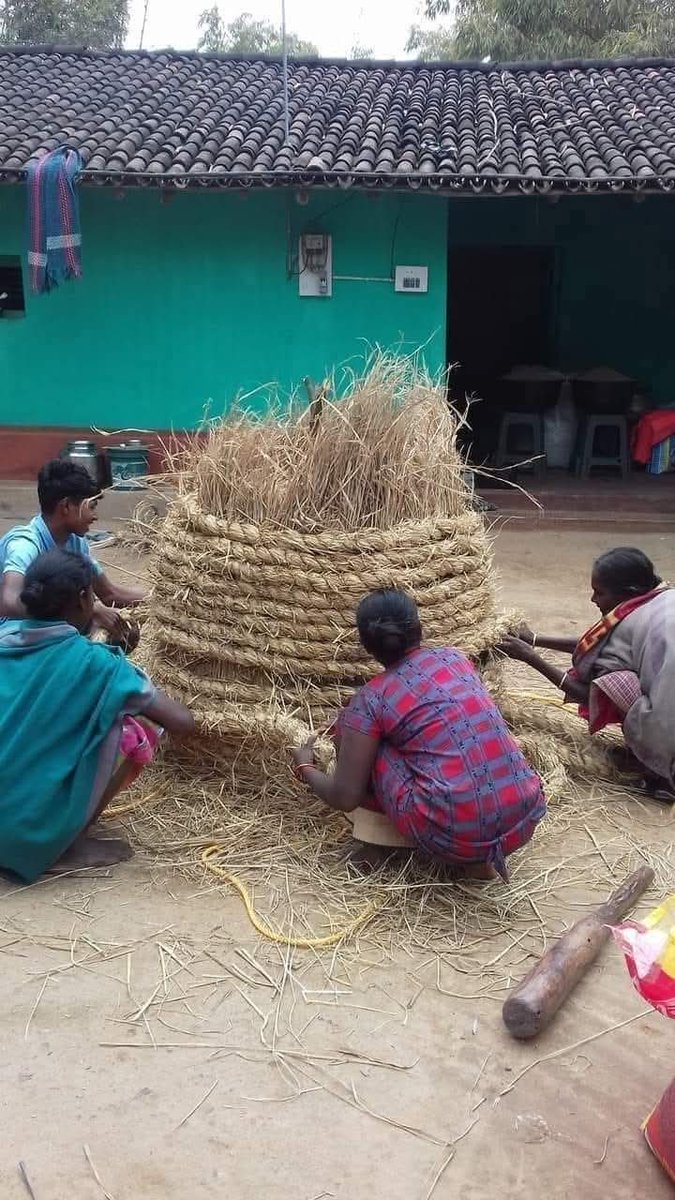 ଧାନକୁ ସୁରକ୍ଷିତ ରଖିବାର ଅତି ସୁନ୍ଦର ବ୍ୟବସ୍ତା ......