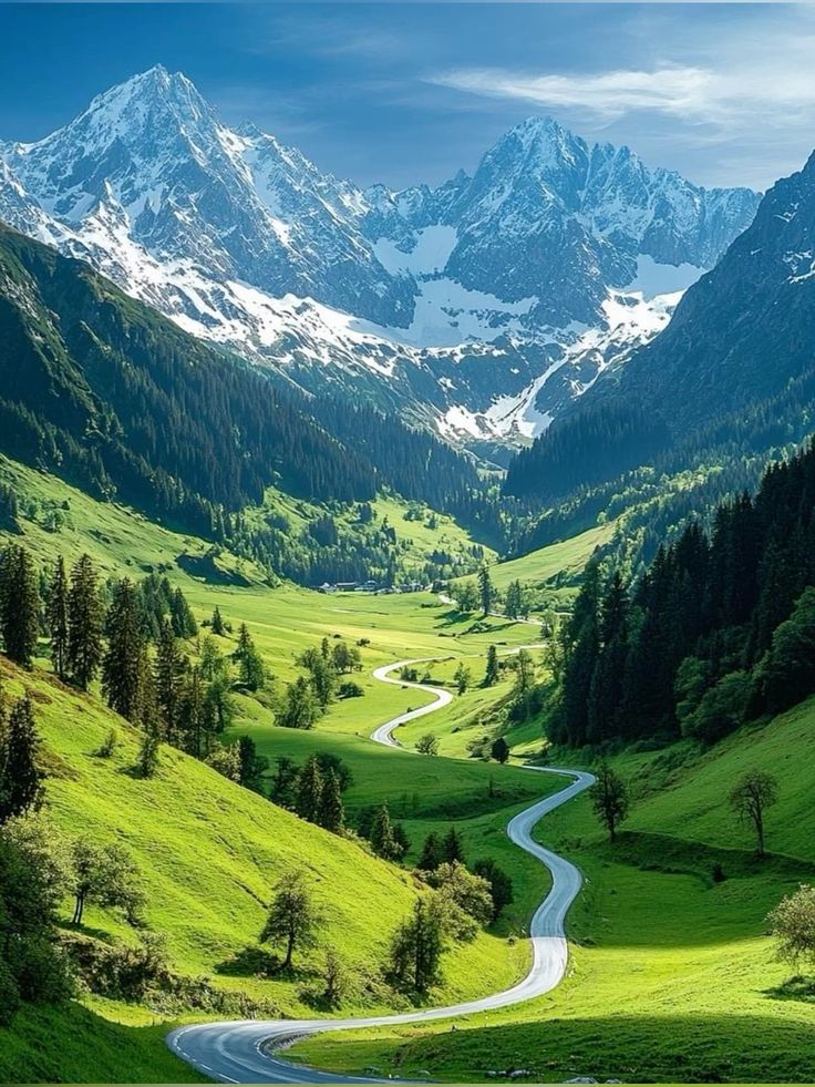 natures_picture's tweet image. 