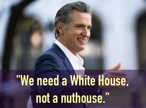 bluhue123's tweet image. Do you support Gavin Newsom against Trump?  

Yes or No