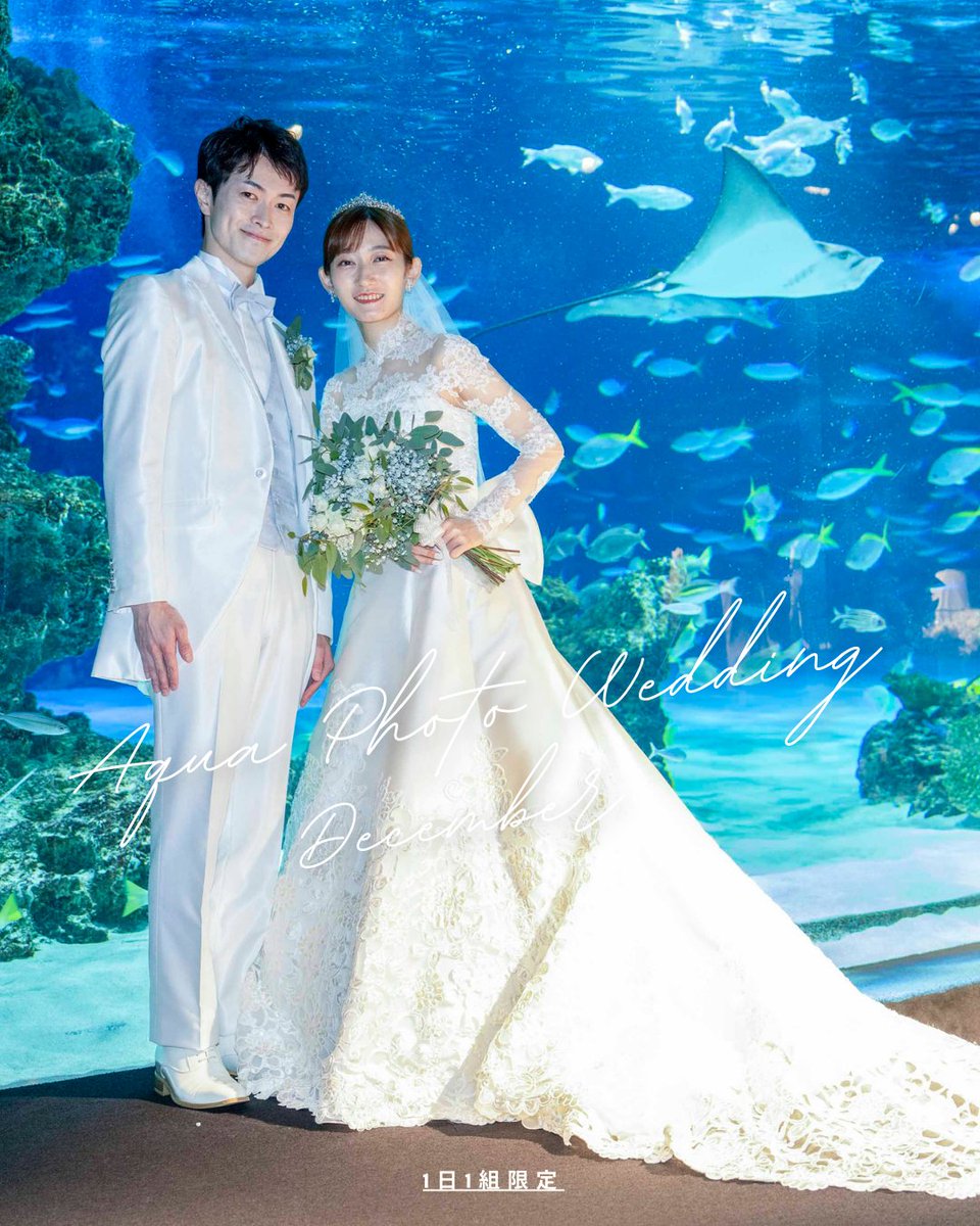 Sunshine_Aqua's tweet photo. 💐水族館貸切ブライダル💐
【水族館×フォトウェディングプラン 予約受付中✨】
12月限定❄️平日1日1組限定のフォトウエディング✨
お魚たちに見守られる幻想的な撮影や、冬ならではの憧れショットが叶います。
クリスマスシーズンのきらめきに包まれて、特別な瞬間を残しませんか？
@sky_bridal https://t.co/lGnEkE3RiS