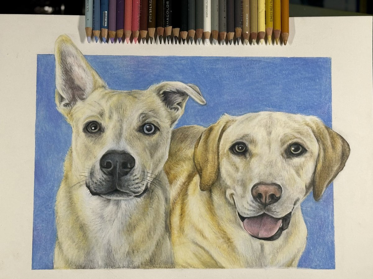 Corbeano2's tweet photo. I know I’ve been quiet, but I promise I’m still making art 💛 https://t.co/aXkZRvF78X