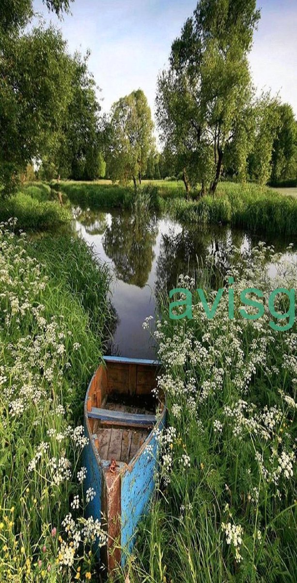 RonnieDoug63201's tweet image. Being in love with you makes every morning worth getting up for… Good Morning, Sweetheart!