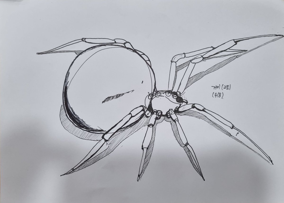 거미 2트