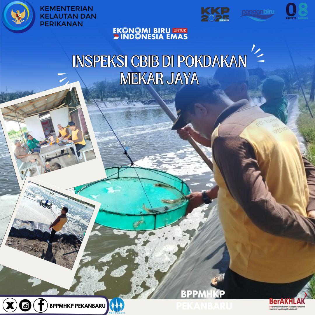 Hai #Sahabatbahari Tim Inspektur Mutu Badan Mutu KKP Pekanbaru melaksanakan kegiatan inspeksi CBIB tambak udang di pokdakan Evi farm
#PanganBiru
#EkonomiBiruUntukIndonesiaEmas 
#2025KKPRiseTogether
#SaktiWahyuTrenggono
#KKPGOID