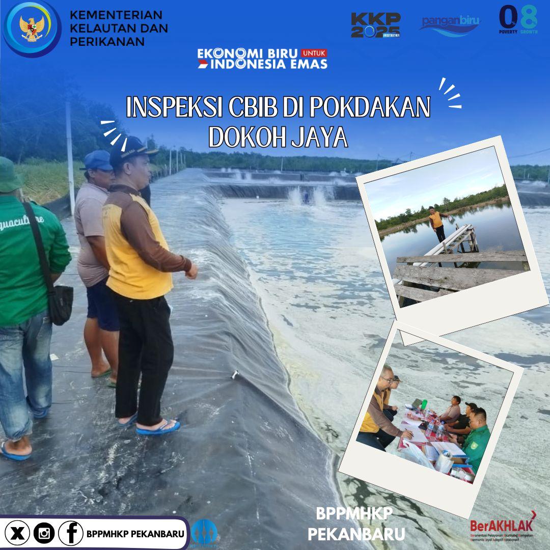 Hai #SahabatBahari tim Inspektur Mutu Badan Mutu KKP Pekanbaru melaksanakan kegiatan inspeksi CBIB tambak udang di pokdakan Dokoh Jaya
#PanganBiru #2025KKPRiseTogether #EkonomiBiruUntukIndonesiaEmas #SaktiWahyuTrenggono #KKPGOID