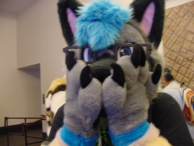 Slick Elkhound 🔜 FWA tweet media