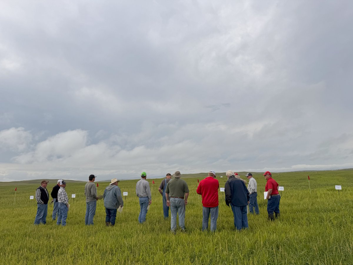 West Central Research and Extension Center tweet media