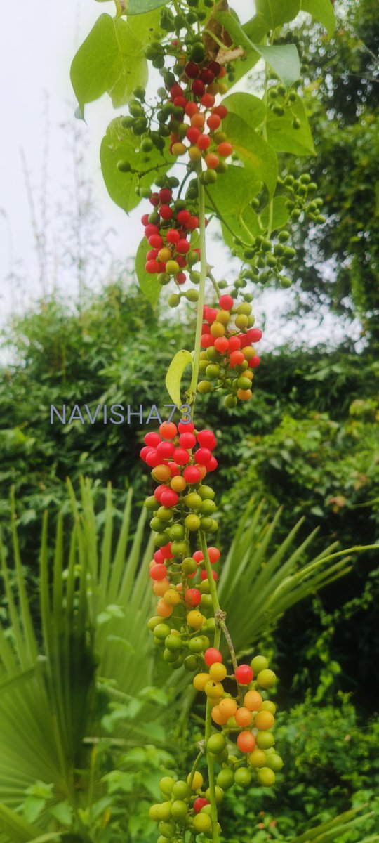 ﷺﷴﷺﷴﷺﷴﷺﷴﷺوعَلۓِﷺآله🎀
ﷺﷴﷺﷴﷺﷴﷺﷴ✿وصحبةﷺأجمعين🎀
يقول النبيﷺأقربكم منى مجلساً يوم القيامة
السلام علیکم کس کس نے نام جانتا ہے 
<a href="/NAViSHA73/">نویشا 🦋</a> 
<a href="/elonmusk/">Elon Musk</a>