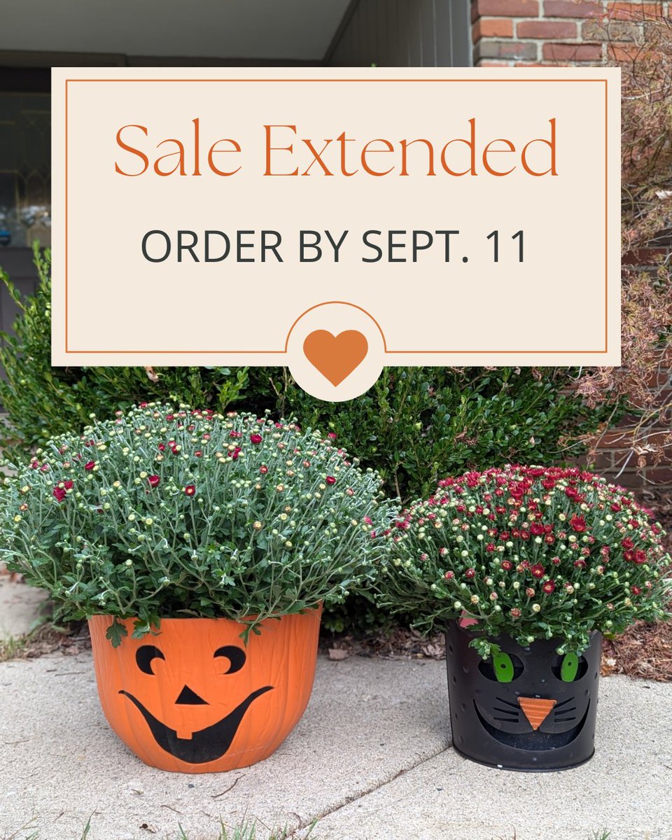 Brookside PTA tweet media