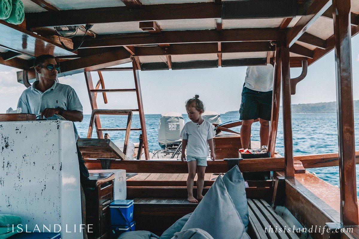 ThisIslandLife tweet media