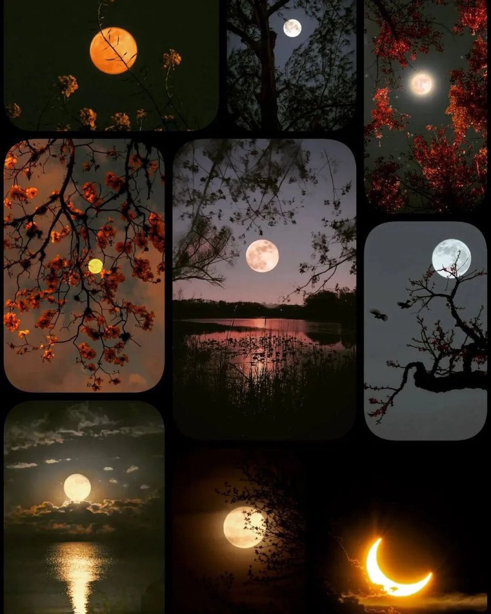 Aesthetics (@aestheticspost_) on Twitter photo 