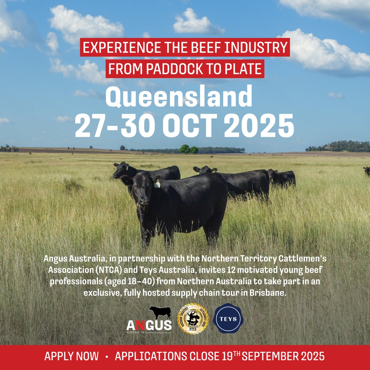 angusaustralia's tweet image. From feedlot to finished product - you&apos;ll see it all! 🥩 This isn&apos;t just a tour, it&apos;s hands-on education that will change how you think about Southern markets. 

APPLY NOW: f.mtr.cool/myxohymwfr
 #AngusAustralia #HandsOnEducation #TechnicalInsights #MaximizeValue #Queensland