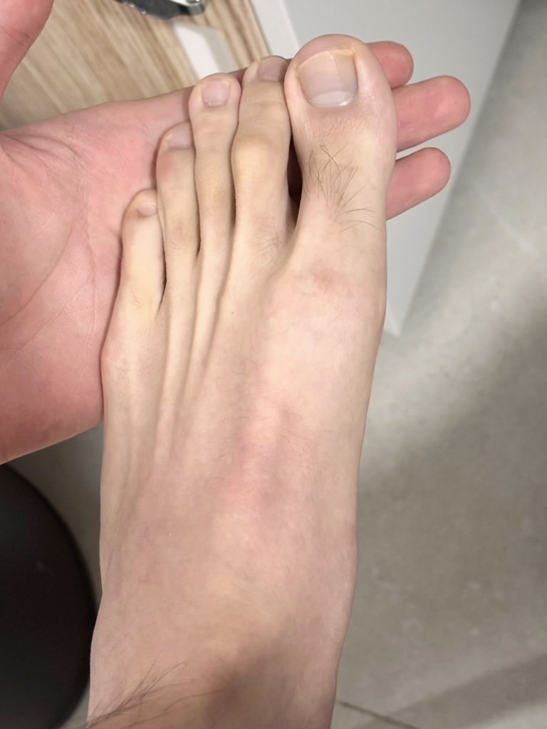 白毛藏獒 (@baimaoaos) on Twitter photo 