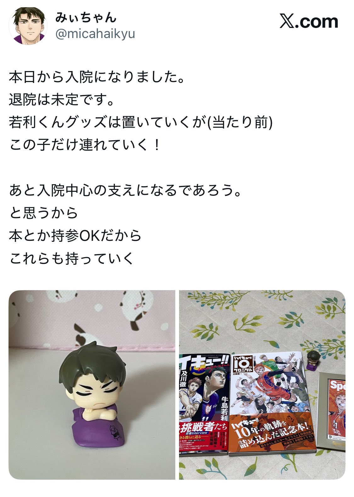 みぃちゃん on X: 