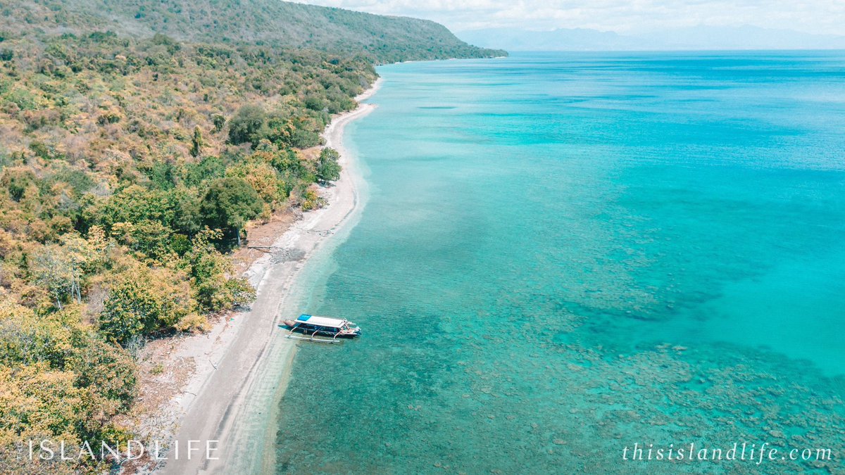 ThisIslandLife tweet media