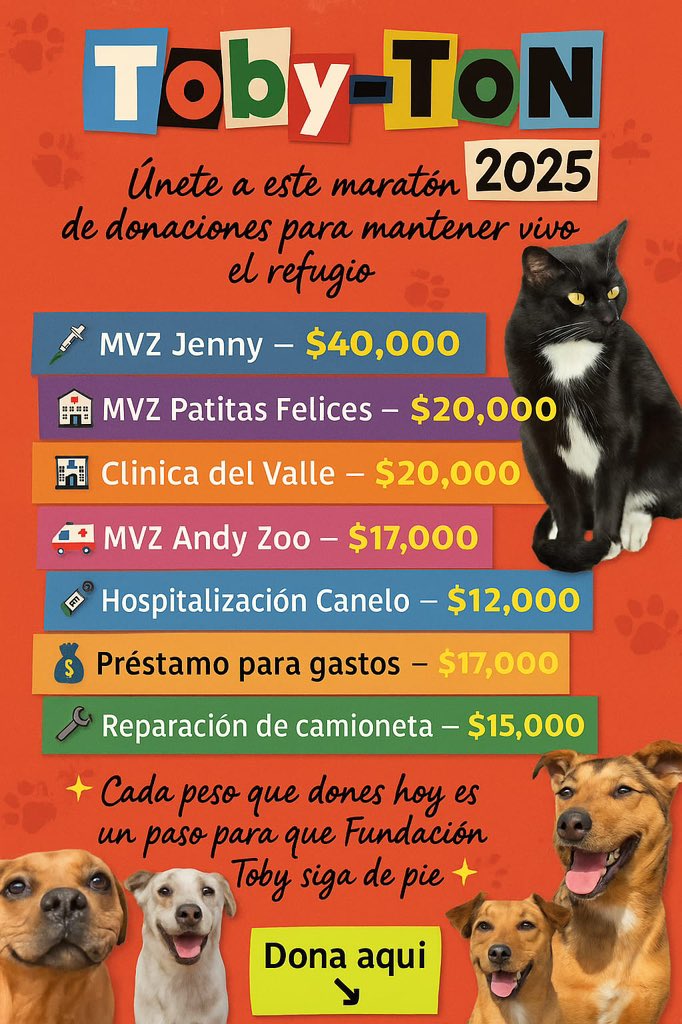 FundacionToby's tweet photo. A lo largo del día hemos hecho al menos 5 publicaciones para pedir ayuda y solo 2 personitas han acudido al llamado, en total en todas las cuentas bancarias  tenemos $450 pesos, por lo que no se ha podido pagar nada aún.

Esta labor es muchísimo más difícil sin la ayuda de la sociedad consciente que dona, que apoya…

Por favor súmate con $5 $10 o lo que tengas y puedas, te lo vamos a agradecer con toda el alma!

Cuentas Toby

- BANCOMER
Cuenta: 0117412991
Clabe: 012180001174129915

- SANTANDER
Cuenta: 60577008001
Clabe: 014180605770080014
 
- Mercado pago
Clabe: 722969010583593935
Tarjeta: 5428785111220215

- Paypal
https://t.co/Hd1HfgMlu9…
