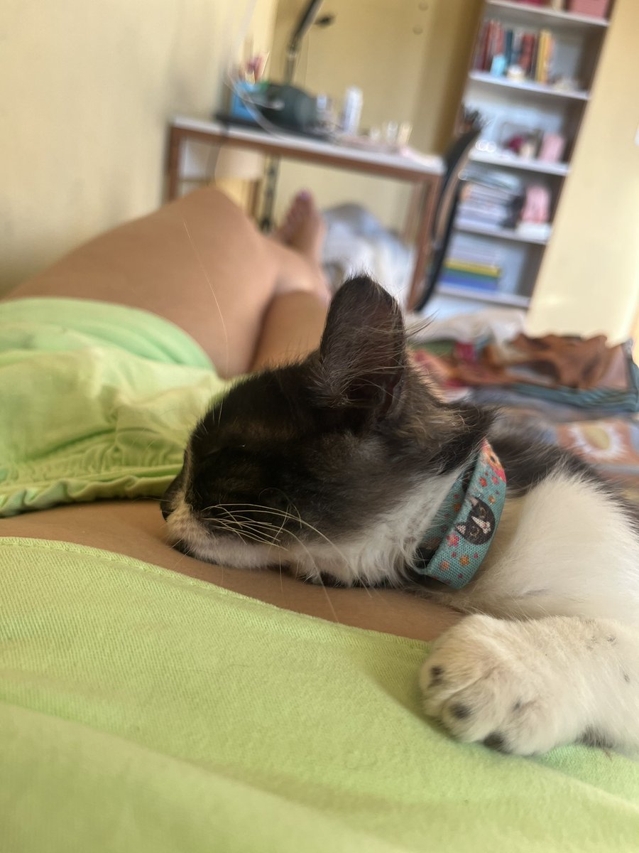 tavaresvee's tweet photo. Gosta de dormir abraçada com a mamaim 😻 https://t.co/WB6mCdMvgc